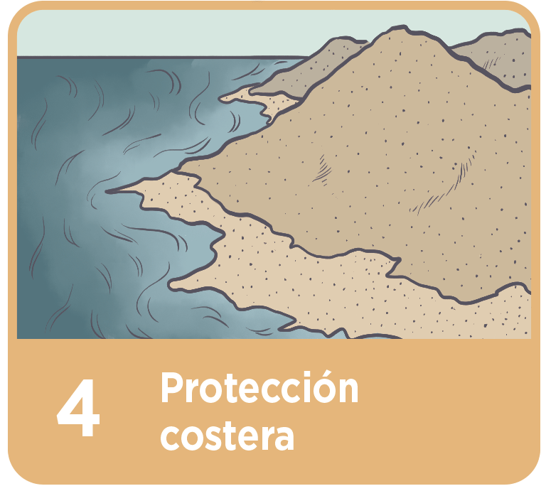 Protección Costera