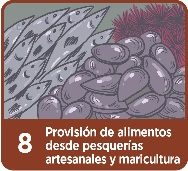 Provisión de Alimentos